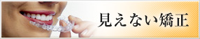 �C���r�U���C���b�ڗ����Ȃ����Ȏ���