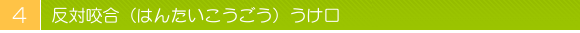 ���Ι����i�͂񂽂����������j������